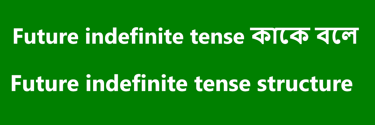 Future indefinite tense