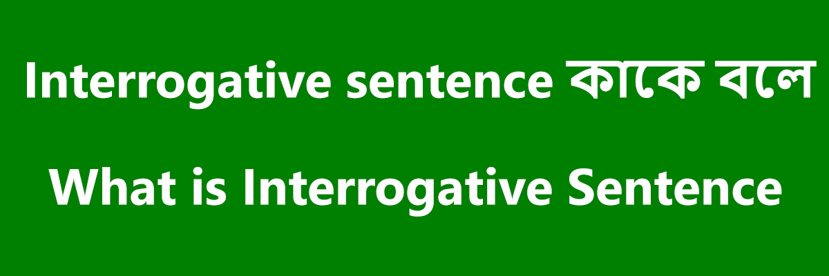 Interrogative sentence
