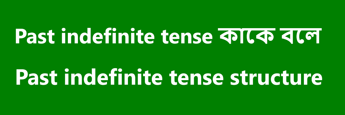 Past indefinite tense