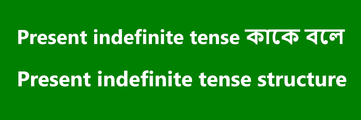 Present indefinite tense