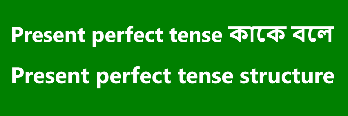 Present perfect tense